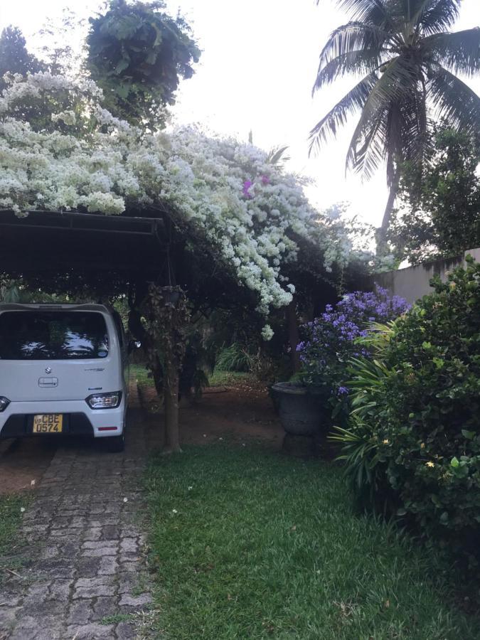 Tangalle Green House Exterior photo