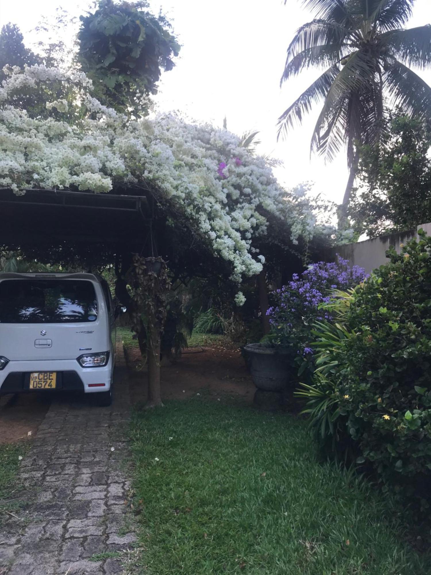 Tangalle Green House Exterior photo