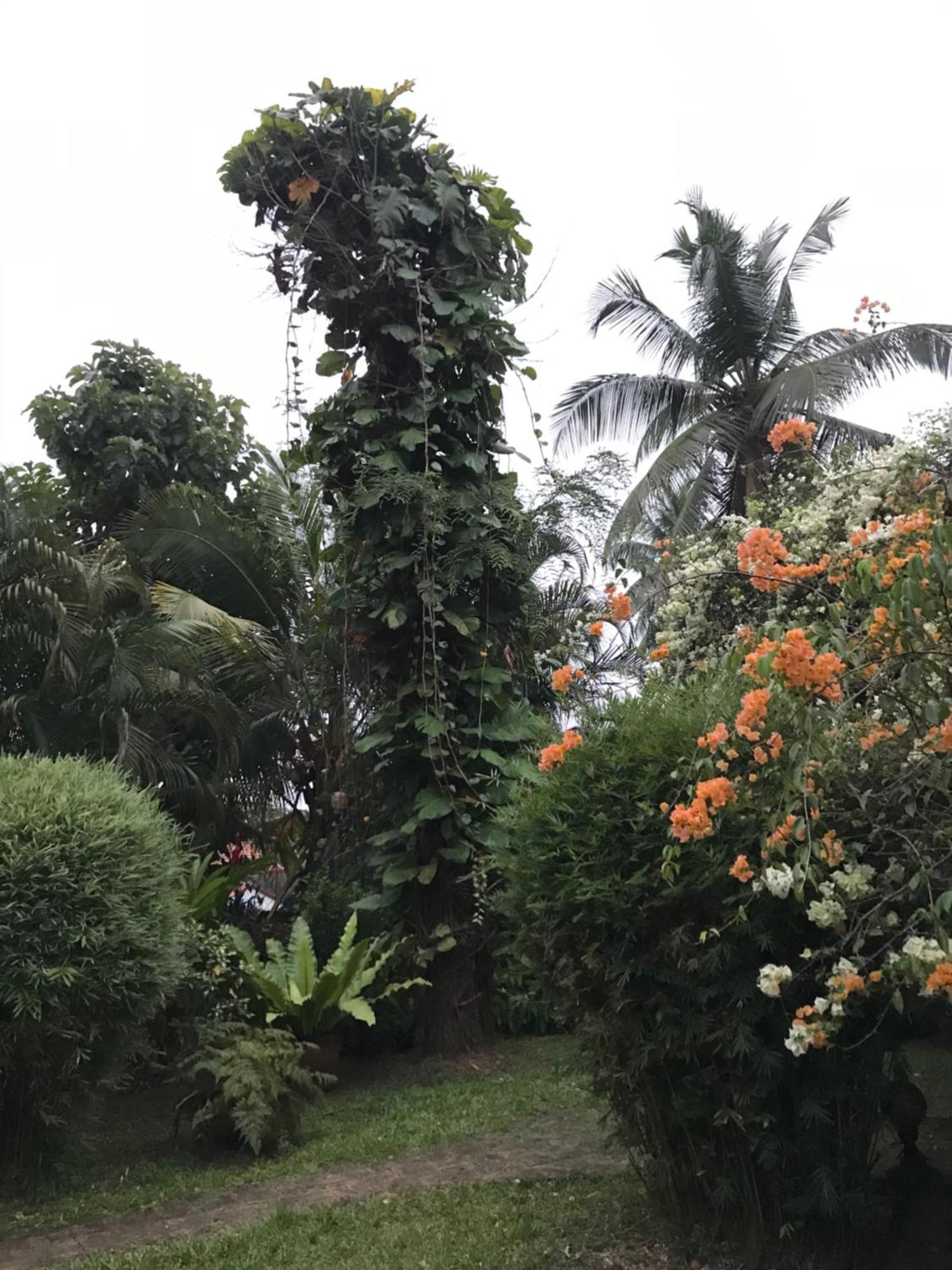 Tangalle Green House Exterior photo