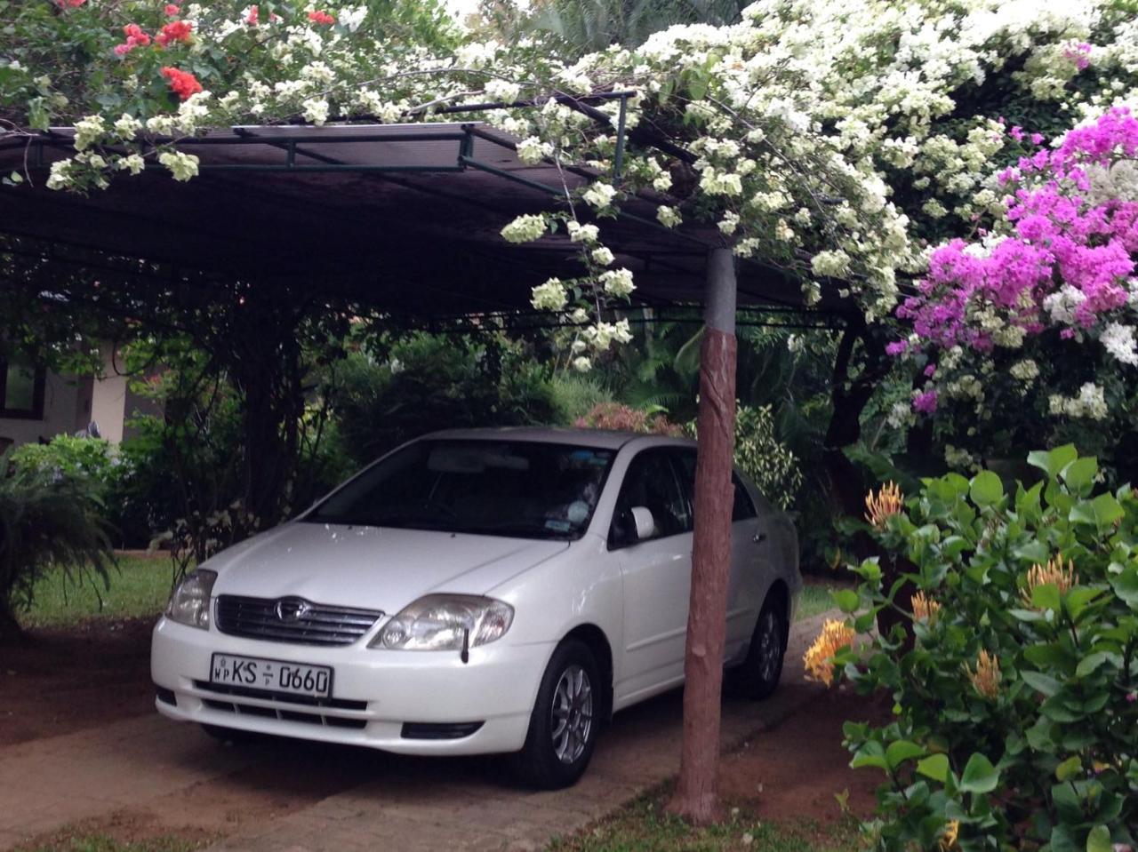 Tangalle Green House Exterior photo